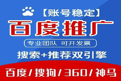 初学者的百度竞价推广：成功案例揭秘