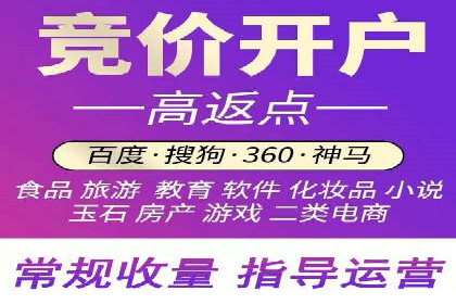 案例研究：SEM代运营服务公司的创新策略
