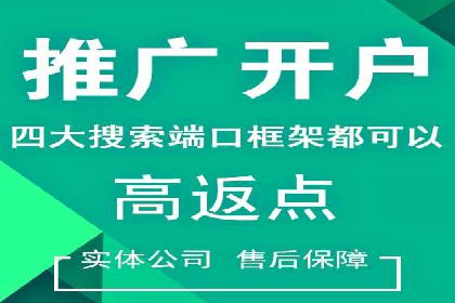 SEM运营公司案例解析：数据分析与优化