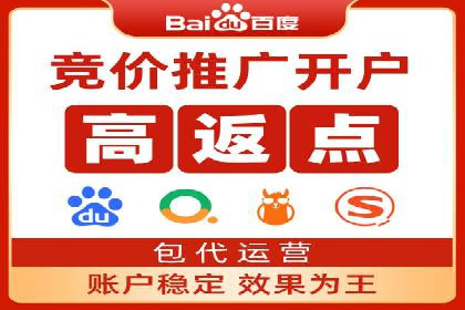 案例展示：SEM推广助力品牌知名度提升